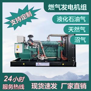 Generador de GLP de 10kW a 300kW, Unidad de Energía a Gas Natural con Motor de Bajo Ruido - Product Image 5