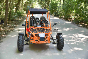 Essieu avant de course tout-terrain 125cc 2 places pour adulte 200cc Go Kart - Product Image 2