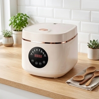 Autocuiseur multifonction GB-MC365 avec minuterie numérique, 5L, 900W, boîtier en plastique, cuve intérieure en aluminium 360g, cuiseur vapeur, cuillère, tasse à mesurer