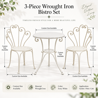 Ensemble bistrot minimaliste de style français en métal, 3 pièces, table et chaises de patio pour jardin, balcon