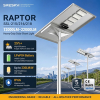 Lampe solaire de rue SRESKY 120W 150W 200W, panneau monocristallin, télécommande, fonction du crépuscule à l'aube, étanche IP66, tout-en-un