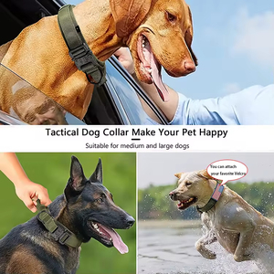 Collar de Perro de Nailon y Algodón de Alta Calidad, Resistente al Desgaste, Personalizable, Ajustable, Collar Táctico para Entrenamiento de Perros al Aire Libre - Product Image 5