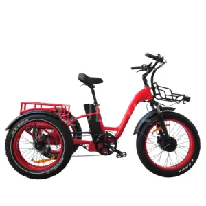 Tricycle électrique motorisé de 24 pouces EN15194, nouveauté, bicyclette à 3 roues avec pédales, vente en gros