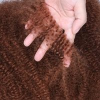 Capelli Afro Kinky Twist da 12 Pollici, 100g, Ricci Ghana, per Crochet, Trecce Afro Kinky, Extension Dreadlock in Bulk