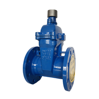 Vanne à opercule souple industrielle à température normale, résistante à la corrosion, à commande manuelle, DN50-DN300, Longguan JMZ45X, direct usine