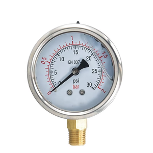 Manomètre à tube Bourdon à double anneau NPT 1/4'' transparent, à huile <span class=keywords><strong>de</strong></span> silicone, 0-30 psi, en promotion - Product Image 1