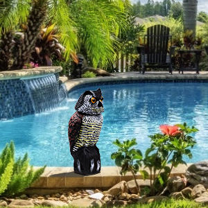 360 graden draaibare kop plastic tuin vogelschrikken dierenafschrikmiddel beweegbare vogelschrikken kraai simulatie uil - Product Image 4