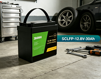 Loxeny SCLFP-12.8V-30 12.8V 30Ah Baterai LiFePO4 Solid State 384Wh Deep Cycle Smart BMS 6000 Siklus 4S2P 15A Rentang Suhu Tinggi