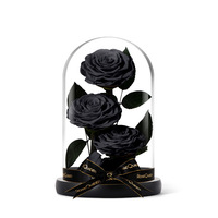 Nouvelles roses violettes tendance 2024, cadeaux élégants, roses éternelles colorées et préservées dans un dôme en verre, pour un cadeau de remise de diplôme
