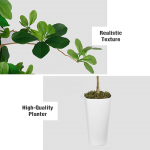 ต้นมะกอกดำเทียมสูง6FT ต้นมะกอกเทียมเทียมเหมือนจริงต้นไม้เทียมที่มีลำต้นตามธรรมชาติกระถางต้นไม้สีขาวตกแต่งบ้านด้วยมอสปลอม - Product Image 5