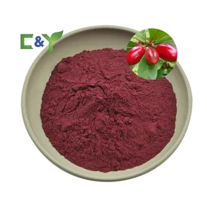 ISO blushwood berry seeds extract powder blushwood berry fruit extract EBC46 Thaumatin