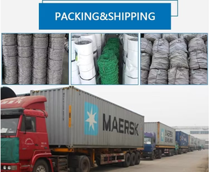 <span class=keywords><strong>Fil</strong></span> <span class=keywords><strong>barbelé</strong></span> en promotion au prix du rouleau / <span class=keywords><strong>Fil</strong></span> <span class=keywords><strong>barbelé</strong></span> galvanisé pour clôture agricole, prix usine, fabricant, <span class=keywords><strong>fil</strong></span> <span class=keywords><strong>de</strong></span> <span class=keywords><strong>fer</strong></span> simple à lames rasoir - Product Image 6