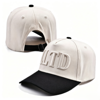 Casquette de baseball pour hommes en coton structuré, vierge, avec logo brodé 3D, personnalisable, de haute qualité, marque privée, OEM, style A-frame, vente en gros