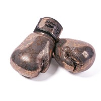 Gants de boxe en cuir PU Pakistan, Mini Logo personnalisé imprimé Fairtex