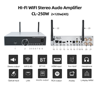 Cloudecho Classe D Amplificador Populaire Sans Fil BT Connecté Système Audio HiFi Amplificateur de Musique