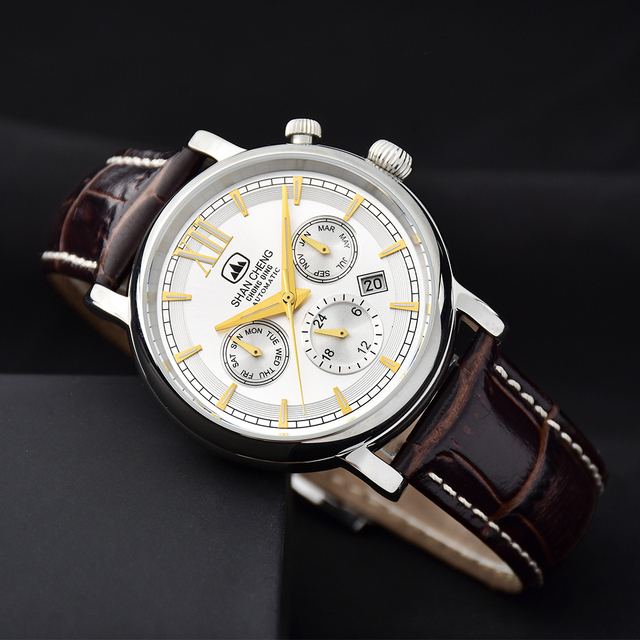 Classic Automatic Mechanical Watches OEM & ODM 316L Steel MIYOTA9120 Movement Waterproof Sapphire Watch