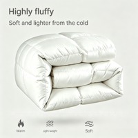 Couette en duvet de canard blanc anti-déformation avec boîte de rangement intégrée