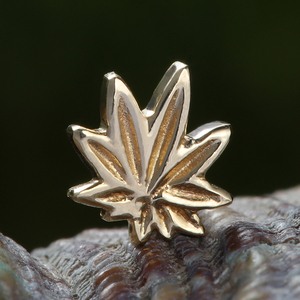 Superventas 14K oro sólido <span class=keywords><strong>Piercing</strong></span> pendiente hoja grande superior sin rosca Daith <span class=keywords><strong>Helix</strong></span> Labret nariz cuerpo joyería al por mayor - Product Image 4