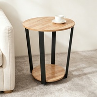 Table basse industrielle en acier avec rangement, montage facile, mobilier de salon
