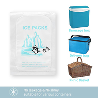 Sac isotherme tendance personnalisé, mini, réutilisable, en PE, 15L, étanche, avec fermeture éclair, pour aliments et glaçons, idéal pour congélateur et gel réfrigérant.