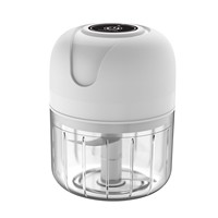 Hete Aanbieding Draagbare Elektrische Mini Knoflookpers van Voedselveilige Kwaliteit met USB Oplading