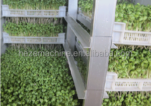 Machine automatique de germination de haricot mungo Luzerne Galic Orge Herbe Bovins Fourrage Vert Machine de culture de germination de haricot - Product Image 4