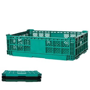 Contenitore Pieghevole in Plastica per Alimenti, Cassa Logistica Richiudibile, Scatola per Stoccaggio di Frutta e Verdura in Agricoltura - Product Image 2