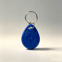 Individueller RFID-Schlüsselanhänger aus ABS für Zugangskontrolle mit Logo für Türeintritt