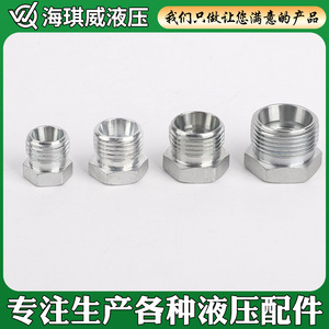 Conector Hidráulico de Acero Inoxidable Haiqiwei, Rosca Externa, Cono de 24 Grados, Tipo de Férula de Sellado - Product Image 2