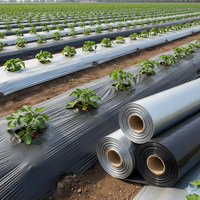 Film plastique noir agricole de 10 à 40 microns, rouleau de paillage, barrière anti-mauvaises herbes, paillage pour le réchauffement du sol, pour serre et ferme, largeur personnalisée