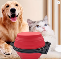 Bol double pliable en silicone 2 en 1 pour chien, bol de voyage portable pour animaux de compagnie, pliable, pour l'alimentation et l'eau, pour les activités de plein air