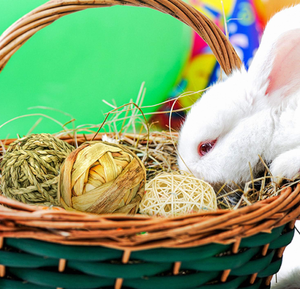 Jouet à mâcher <span class=keywords><strong>pour</strong></span> lapins naturels, <span class=keywords><strong>balle</strong></span> à jouer <span class=keywords><strong>pour</strong></span> chinchillas, <span class=keywords><strong>bois</strong></span> et emballage <span class=keywords><strong>en</strong></span> carton, jouet <span class=keywords><strong>pour</strong></span> ronger les dents <span class=keywords><strong>pour</strong></span> lapins et hamsters - Product Image 5