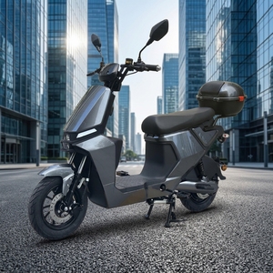 Nouveauté 2026 : Trottinette à batterie lithium 48V avec siège - Product Image 6