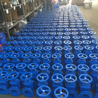 Vanne à opercule à siège souple et flexible en fonte ductile GGG50 DIN3352 F4, extrémité à bride, DN50-DN300 DN80, Pression PN10 PN16, Fabricant professionnel