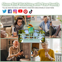 Stocké une caméra AI haute résolution 4K à énergie solaire Mangeoire pour oiseaux sauvages Mangeoire à oiseaux intelligente avec caméra pour de belles photos