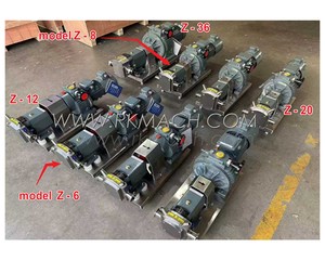 مضخة نقل عجينة اللزوجة عالية اللزوجة دوارة صغيرة الحجم 1.5 كيلو وات موديل 1.5 كيلو وات مع تصميم الجزء الثابت الدوار للفص ثنائي الجناح - Product Image 3