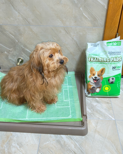 Одноразовые впитывающие пеленки для приучения щенков к туалету с индивидуальным логотипом, быстросохнущие, супервпитывающие, очень большие, для собак - Product Image 6