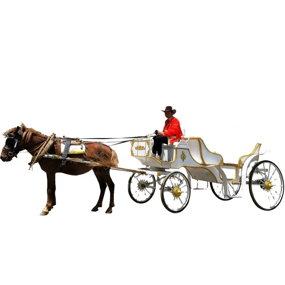 2024 Venda quente estilo personalizado branco 4 rodas 2 fileiras carruagem de turismo puxada a cavalo vagão a cavalo