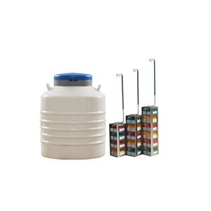 ภาชนะเก็บ N2แช่แข็งแบบปิดผนึกสูญญากาศภาชนะบรรจุแบบคอกว้าง145L YDS-145-216ไนโตรเจนเหลว - Product Image 4