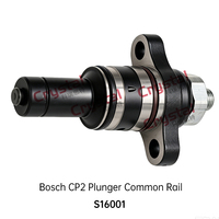 S16001 CP2 Plunger Common Rail
