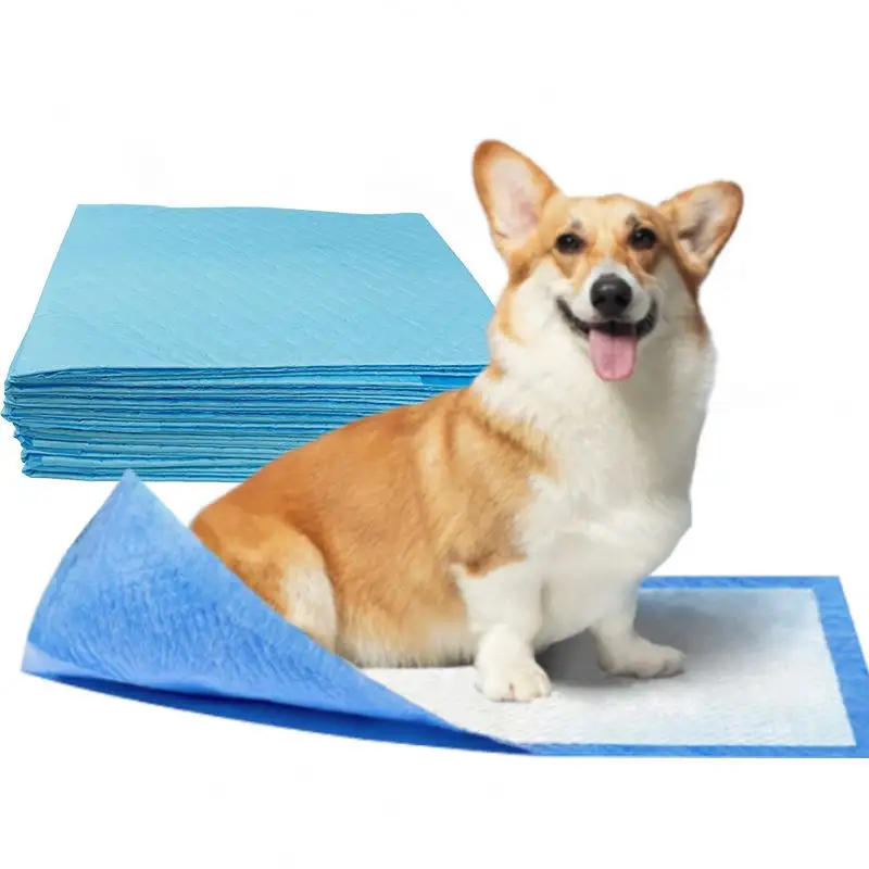 Puppy Hond Lek Proof Pet Plas Pads Training Hond Pei Pads Huisdier Onderpad Voor Honden