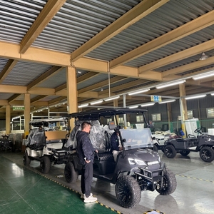 Voiturette de <span class=keywords><strong>golf</strong></span> électrique Lexsong, livraison directe de l'usine - Product Image 3