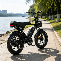 Vélo électrique familial de ville à 2 places avec pneus larges de 20 pouces, moteur arrière de 250 W, frein à disque, batterie au lithium