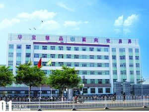 Rideau de douche vert <span class=keywords><strong>sauge</strong></span> élégant - Rideau de douche opaque et hydrofuge pour baignoire et cabine de douche - Product Image 5