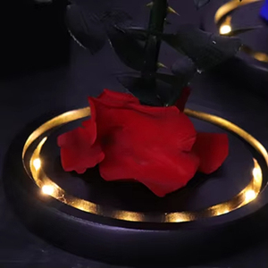 Rosa Eterna Preservata all'Ingrosso in Cupola <span class=keywords><strong>di</strong></span> Vetro con LED <span class=keywords><strong>Il</strong></span> <span class=keywords><strong>Piccolo</strong></span> <span class=keywords><strong>Principe</strong></span> per la Festa della Mamma - Durata 3-5 Anni - Product Image 6