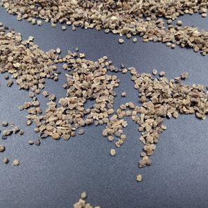 <span class=keywords><strong>Di</strong></span> Fu <span class=keywords><strong>Zi</strong></span> Graines de Kochia Scoparia Séchées Naturelles Pures pour Herbes Aromatiques - Product Image 2