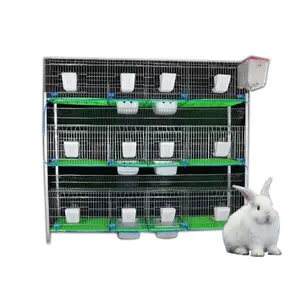 Capacity 24 rabbit cages with drinking fountains and feeders rabbit cage