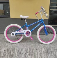 Nouveau modèle populaire, vélo pour enfants de 20 pouces, cadre en alliage d'aluminium, freins V doubles, vitesse unique, pour filles, violet, 3-12 ans