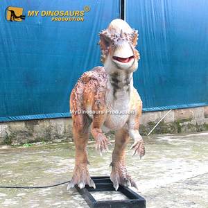 Dinosaurio Animatrónico de Combate MYDINO con Cabeza Tipo Domo, <span class=keywords><strong>Pachycephalosaurus</strong></span> en Venta - Product Image 5