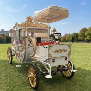 Meilleures ventes : Chariot électrique de transport spécial, type limousine, style calèche royale tirée par des chevaux - Product Image 1